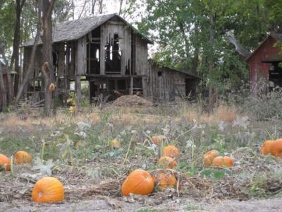 Haunted Farm